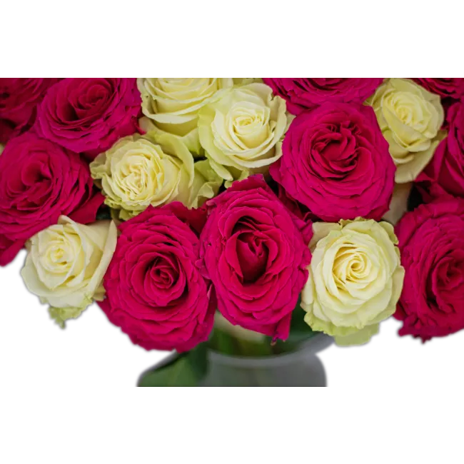 Bouquet of pink and white roses